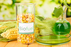 Rudyard biofuel availability