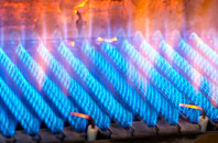 Rudyard gas fired boilers